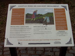Castle Ring Information